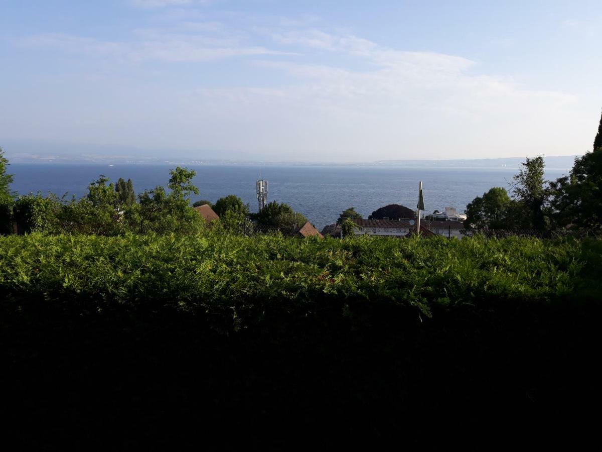 L'Oasis Otel Évian-les-Bains Dış mekan fotoğraf